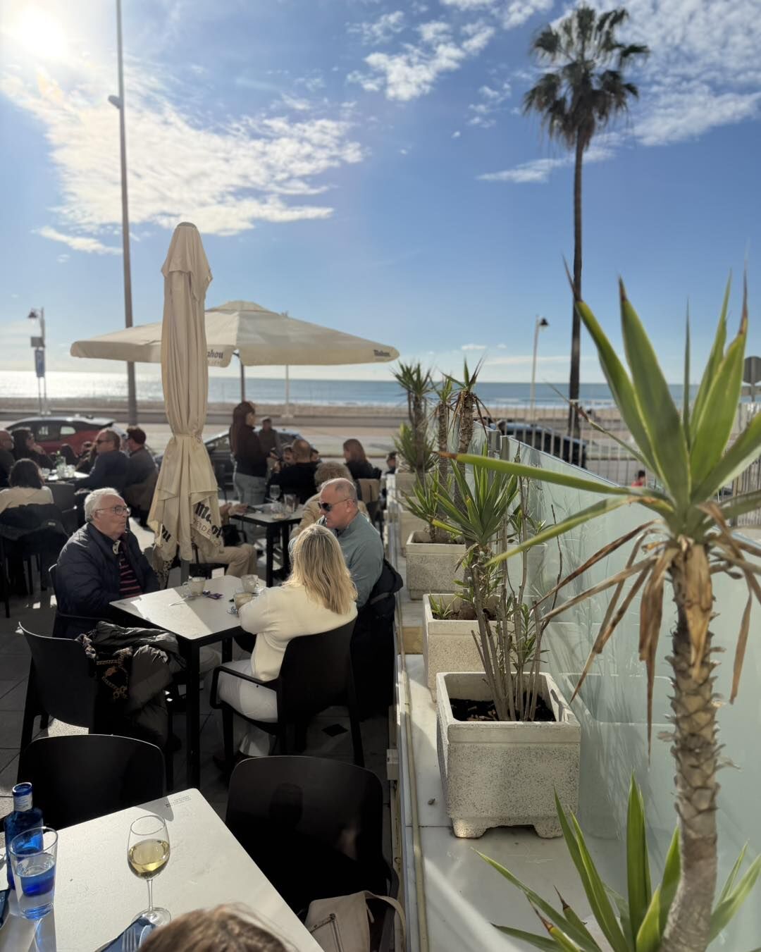Terraza